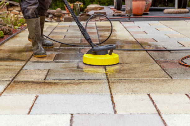 Best Oil Spill Cleanup  in Lanett, AL
